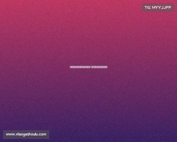 河南主帅谈赛程紧张与轮换策略 强调每位球员都至关重要